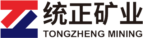 某某科技发展有限公司